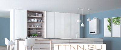 Настенный газовый котел Thermex Andromeda HM18 Настенный газовый котел Thermex Andromeda HM18