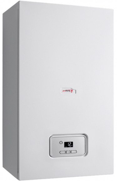 Газовый котел Protherm Гепард 12 MTV