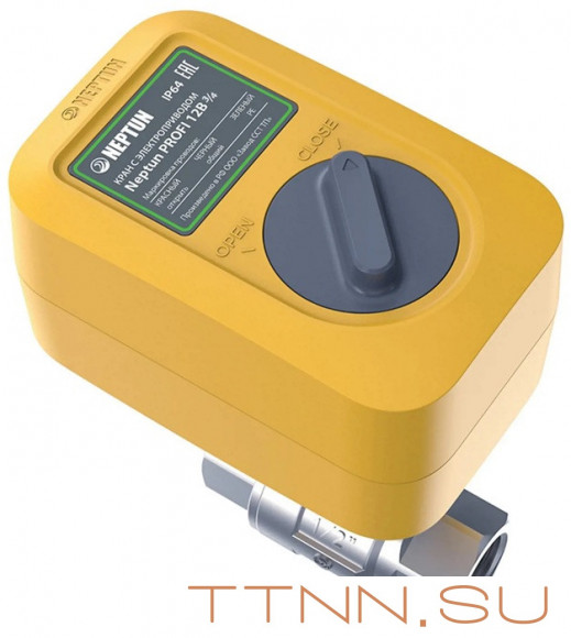 Кран с электроприводом Neptun PROFI 220В 1 1/4 Кран с электроприводом Neptun PROFI 220В 1 1/4