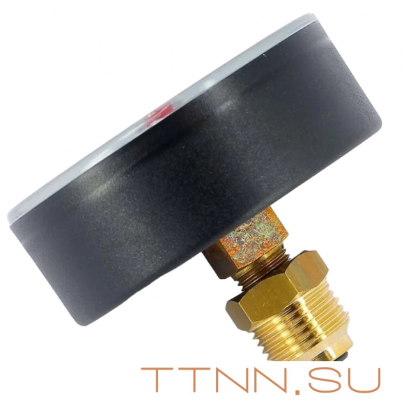 Термоманометр аксиальный Watts FR 818 (TMAX) 10 бар