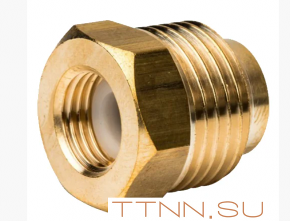 Термоманометр аксиальный Watts FR 818 (TMAX) 10 бар