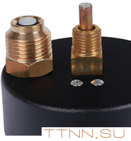 Термоманометр аксиальный Watts FR 818 (TMAX) 6 бар